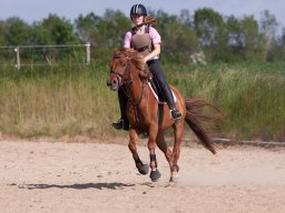 IMG_5586_web